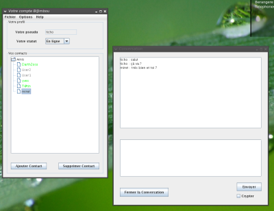 Screen Shot